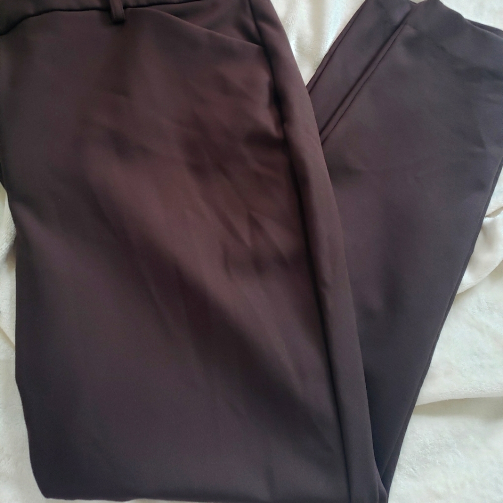 EXPRESS PANTS